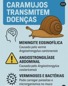 Imagem do WhatsApp de 2025-10-14 à(s) 18.31.48_5f33152a