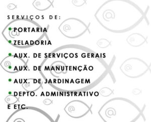 Imagem do WhatsApp de 2025-10-14 à(s) 18.40.38_b8c44e5d