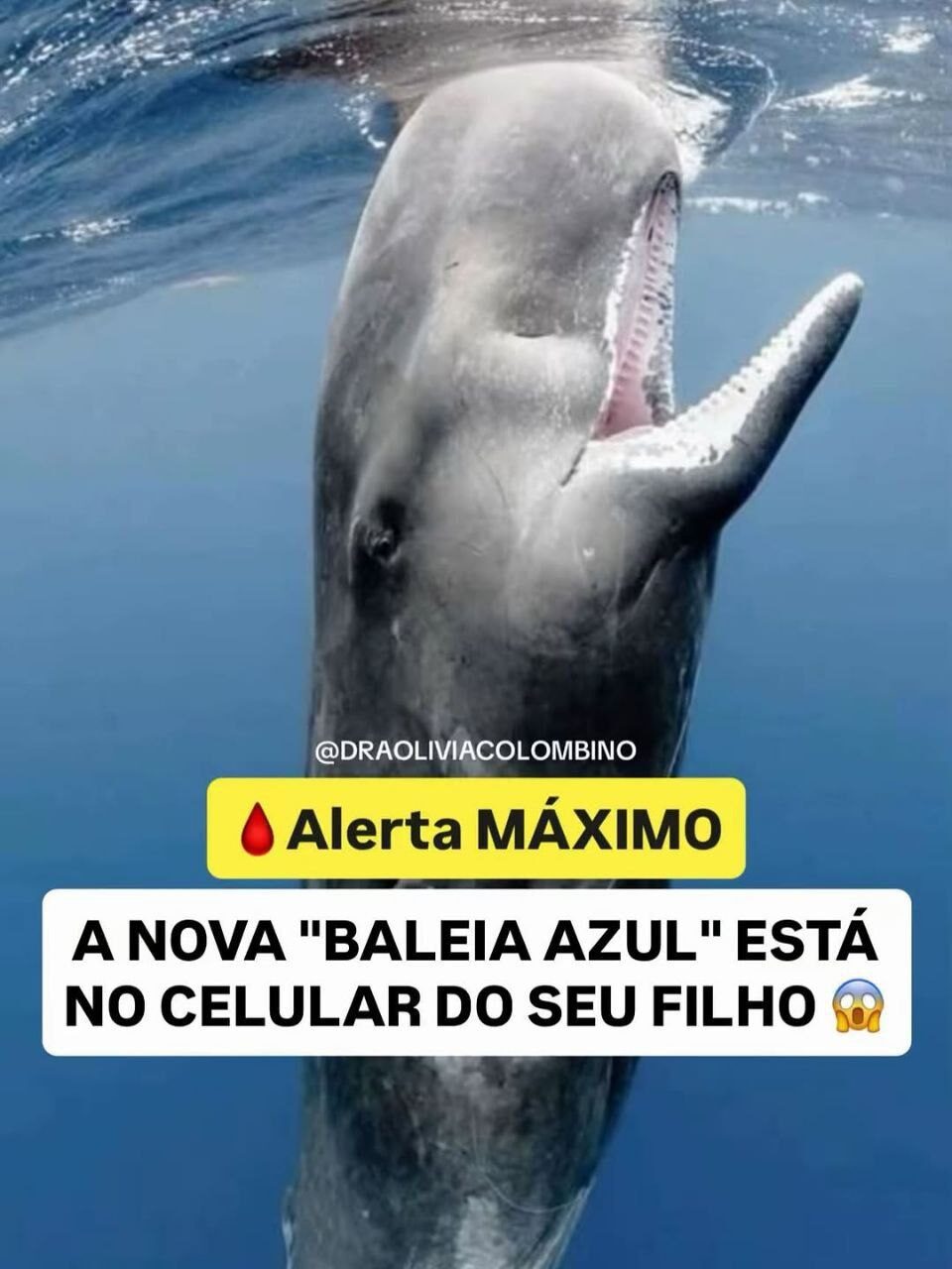 photo_5134552657442835326_y